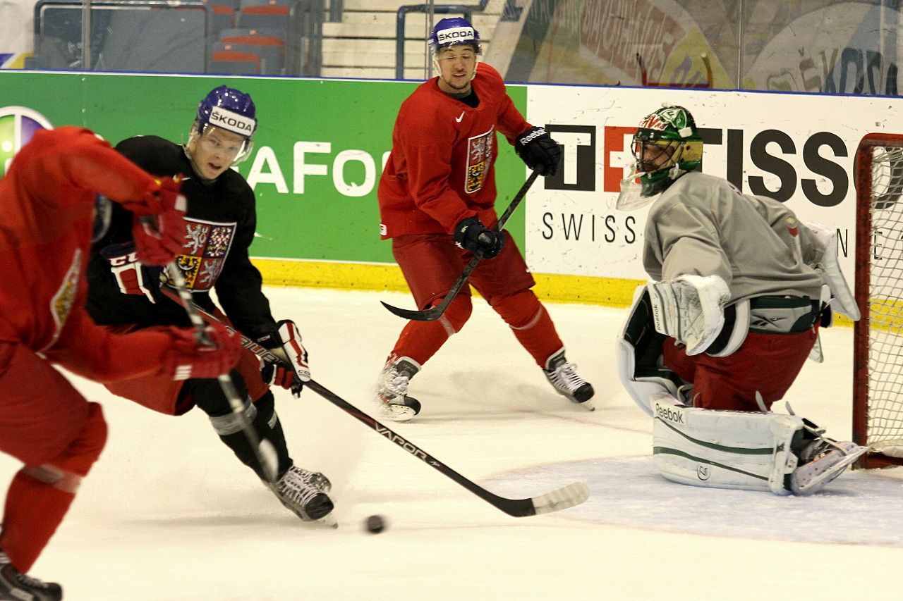 Hokej, MS 2013, český trénink: Alexander Salák