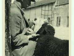 Bohuslav Reynek s ovečkami, 1947