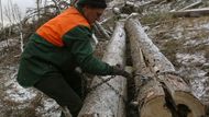 František žije u Kežmaroku, je živnostník a na práci v lese se nechává najímat. Myslí si, že Tatry dají práci jemu i koni ještě na dva až tři roky. Je spokojený, s koněm v lese dělá čtvrtý rok, předtím pracoval na pile.