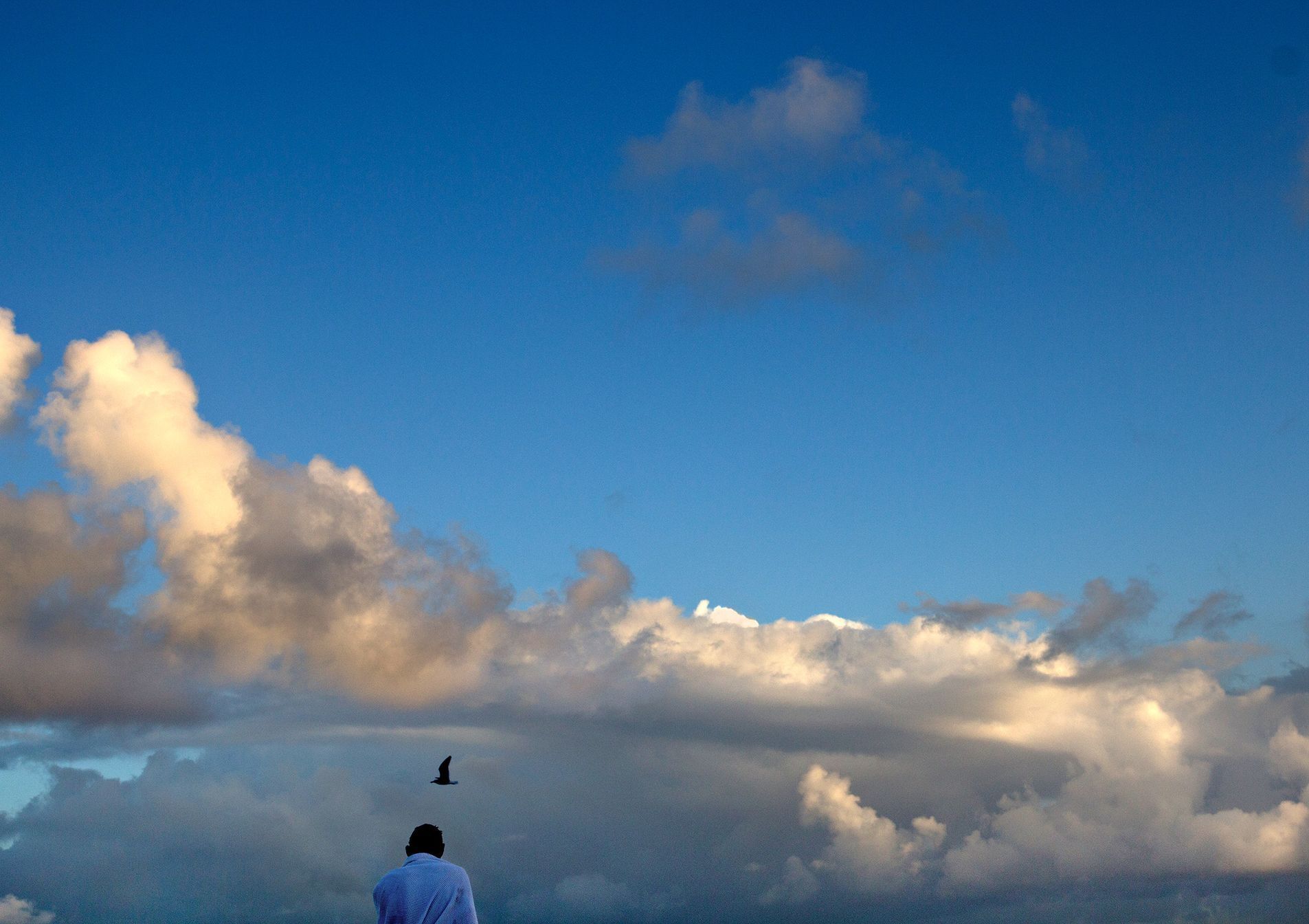 Výstava, Vladimír Birgus, Zaostřeno na barvu, Blatenský fotofestival