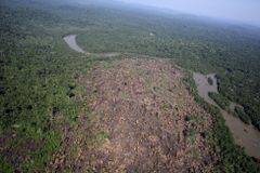 "Je to ostuda." Mýcení amazonského pralesa v Brazílii vzrostlo nejvíce za 15 let