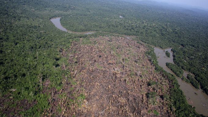 Čerstvě získaná zemědělská plocha v amazonském pralese v brazilském státě Pará.