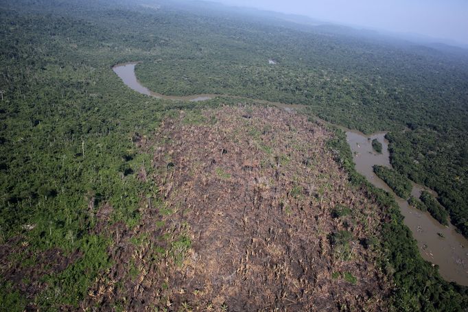 Čerstvě získaná zemědělská plocha v amazonském pralese v brazilském státě Pará.