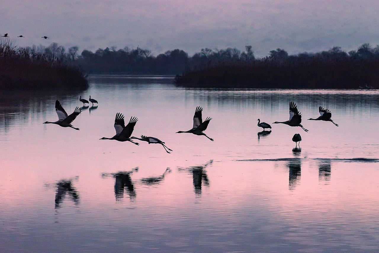 Wiki loves monuments - fotografie ze soutěže