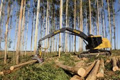 Lesy ČR vytvořily největší zisk za svoji existenci