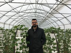 Dragan Joković ve skleníku u obce Bijeljina, kde organizace Otaharin pěstuje zeleninu a tím zaměstnává místní Romy.