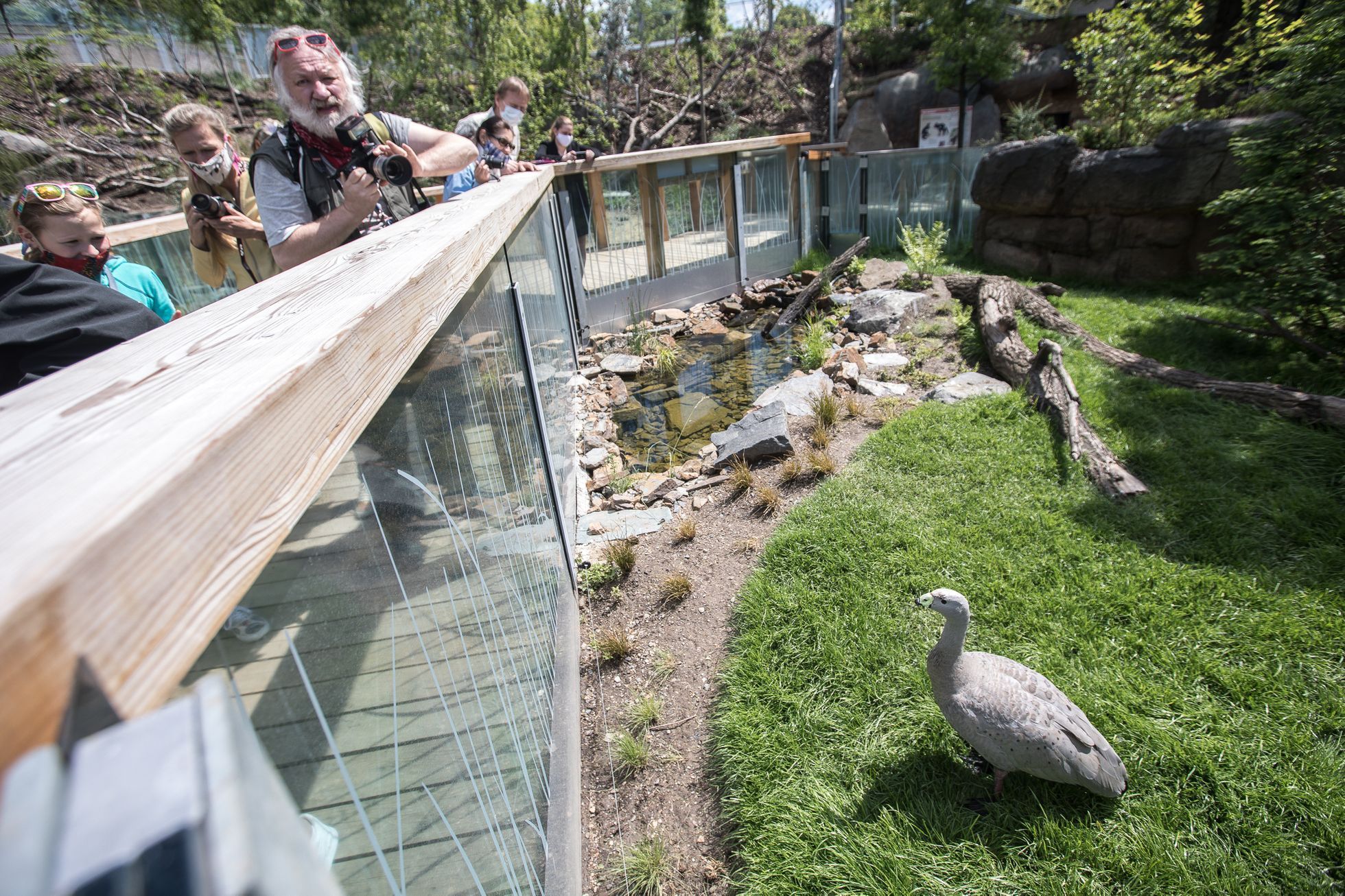 Tasmánští čerti v pražské zoo - nový pavilon Darwinův kráter