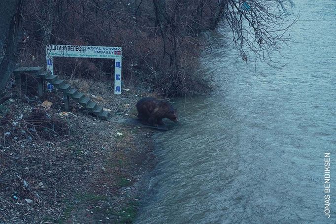 World Press Photo 2022 - regionální vítězové