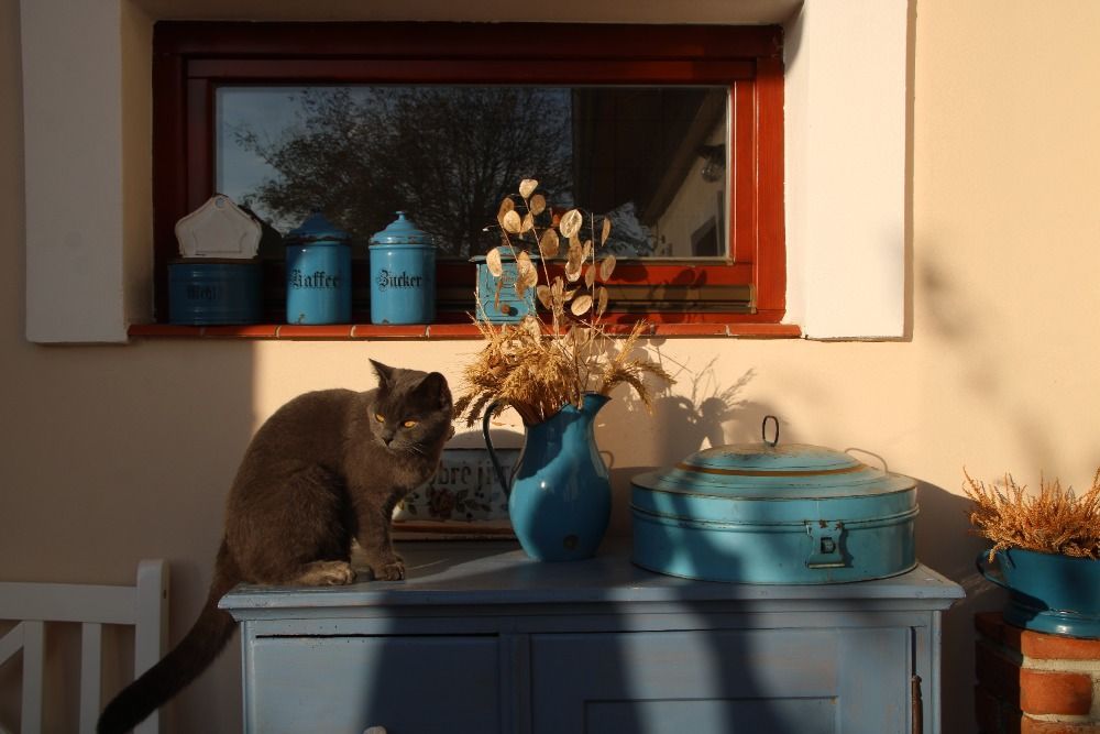 statek, dům, vesnice, bydlení, dům