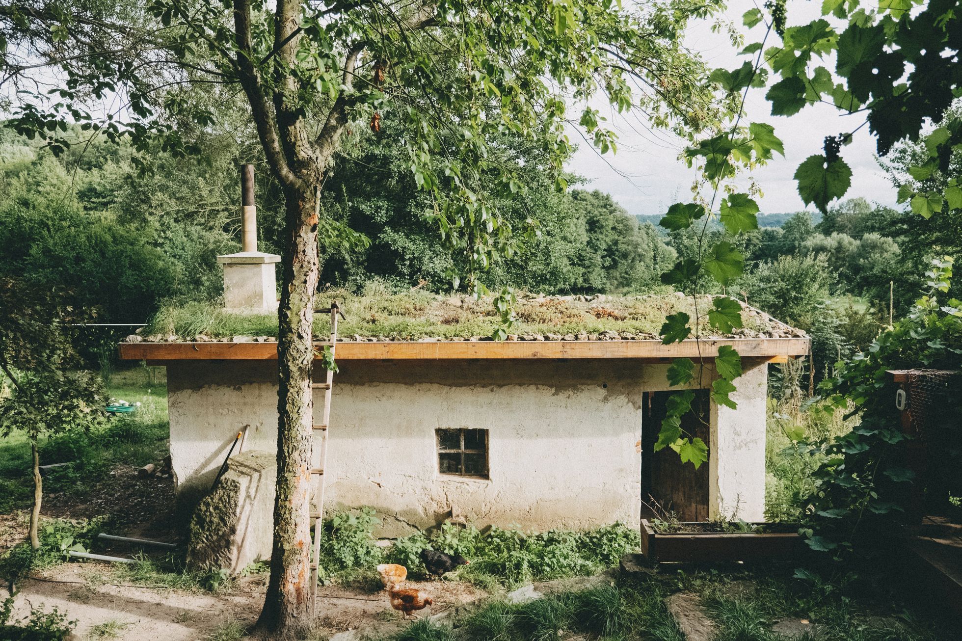 na okraji domov můj, kniha, rodina, bydlení, dům, podnikatel