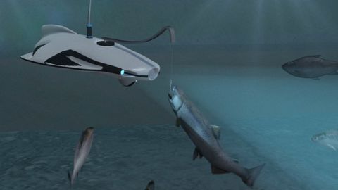 Revoluce v rybaření. Podvodní dron vyhledá a naláká rybu