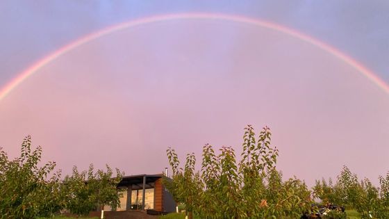 Meruňky, víno a klid. Zažijte luxusní glamping kousek od Čejkovic
