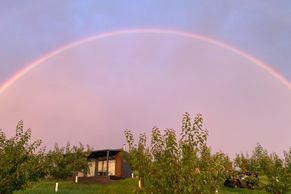Meruňky, víno a klid. Zažijte luxusní glamping kousek od Čejkovic