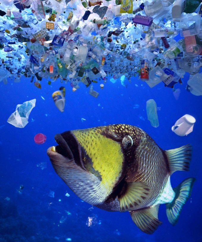 Oceán plný odpadků