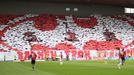 Derby Slavia-Sparta: fanoušci Slavie - choreo