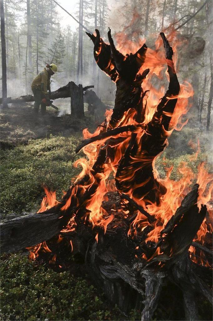 Snímky dokumentující probíhající boj hasičů  s lesními požáry v sibiřské oblasti Ruska. 1. 8. 2019