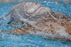 Baumrtová zaplavala rekord, Marušková na medaili nedosáhla