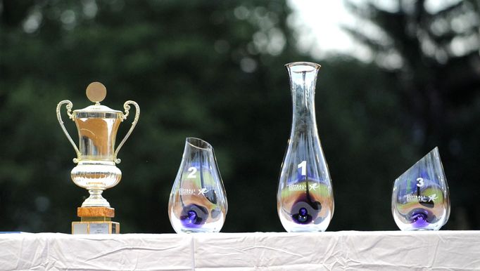 ME v softballu ČR, vítězné trofeje