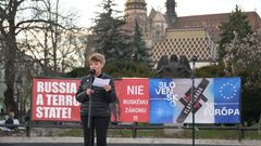 Prostest, Košicie, Slovensko, Demonstrace