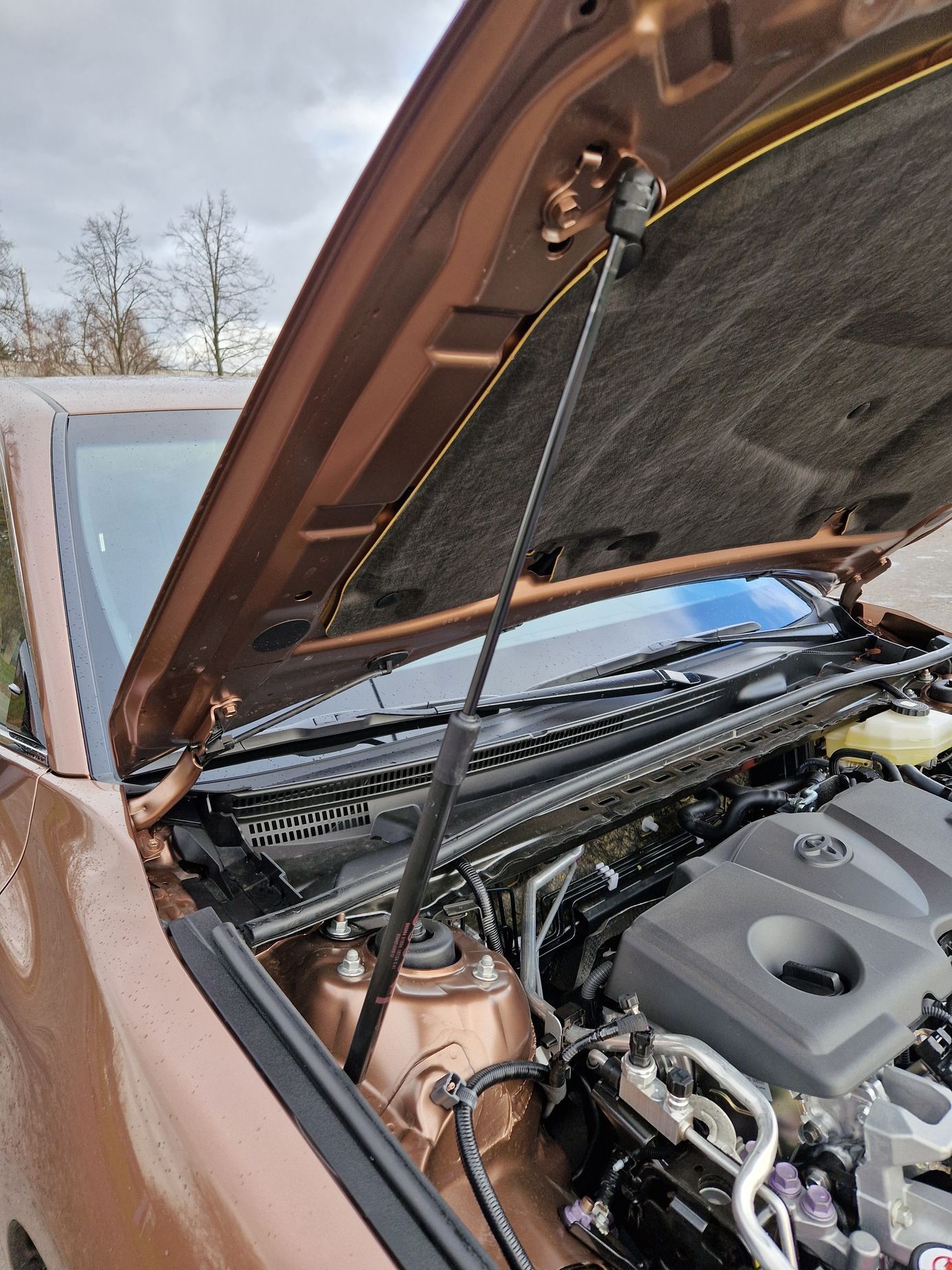 Toyota Camry test