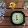 Divoký bistro, Úbislav - gastronomie, kemp