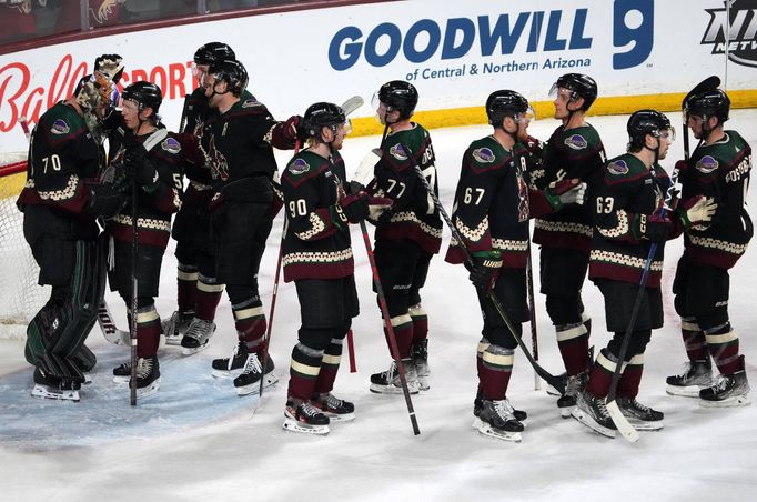 Arizona Coyotes