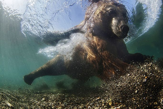 Fotosoutěž - Siena International Photo Awards 2016