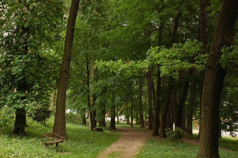 Víkend otevřených zahrad 9. &#8211; 10.6. 2012 - Zámecká zahrada a park v Pacově