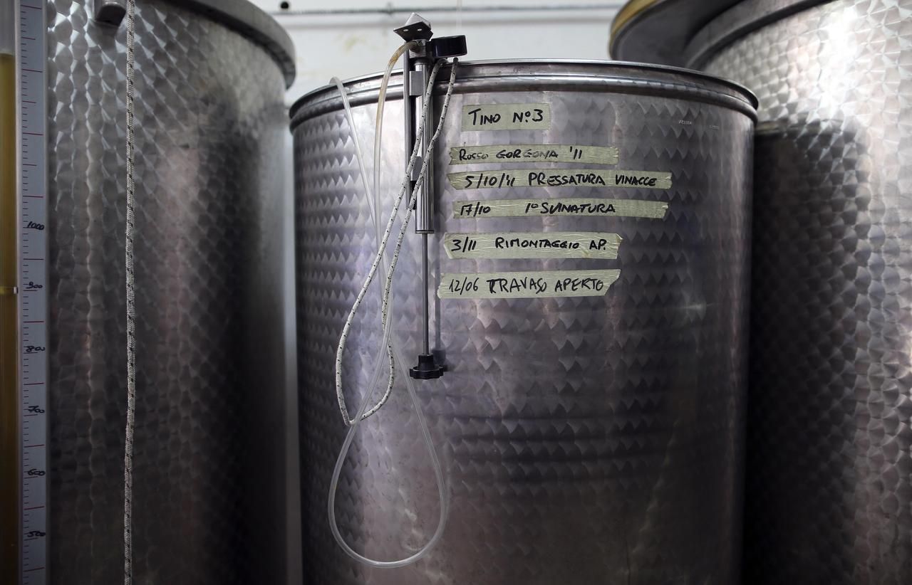 Fotogalerie: Tak vypadá trestanecká vinice v Itálii