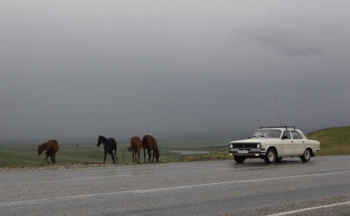 A car drives past horses, standing at the edge of a road, outside the Chechen capital Grozny April 24, 2013. The naming of two Chechens, Dzhokhar and Tamerlan Tsarnaev, as suspects in the Boston Marathon bombings has put Chechnya - the former site of a bloody separatist insurgency - back on the world's front pages. Chechnya appears almost miraculously reborn. The streets have been rebuilt. Walls riddled with bullet holes are long gone. New high rise buildings soar into the sky. Spotless playgrounds are packed with children. A giant marble mosque glimmers in the night. Yet, scratch the surface and the miracle is less impressive than it seems. Behind closed doors, people speak of a warped and oppressive place, run by a Kremlin-imposed leader through fear. Picture taken April 24, 2013. REUTERS/Maxim Shemetov (RUSSIA - Tags: SOCIETY POLITICS ANIMALS) ATTENTION EDITORS: PICTURE 34 OF 40 FOR PACKAGE 'INSIDE MODERN CHECHNYA'. SEARCH 'REBUILDING CHECHNYA' FOR ALL IMAGES Published: Kvě. 1, 2013, 8:21 dop.