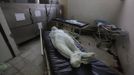 The covered-up dead body of a 16-year old boy who received a gunshot to his head lies on a stretcher at the morgue of a local hospital in San Pedro Sula March 24, 2013. San Pedro Sula, the country's second largest city after Tegucigalpa, has a homicide rate of 169 per 100,000 people and was named the world's most violent city for a second year in a row. Lax laws allow civilians to own up to five personal guns. Arms trafficking has flooded the country with nearly 70% illegal firearms. 83.4% of homicides are by firearms, compared to 60% in the United States. Picture taken March 24, 2013. REUTERS/Jorge Cabrera (HONDURAS - Tags: CRIME LAW CIVIL UNREST HEALTH) ATTENTION EDITORS: PICTURE 37 OF 39 FOR PACKAGE 'GUN CULTURE - HONDURAS' SEARCH 'HONDURAS GUN' FOR ALL IMAGES Published: Dub. 5, 2013, 11:15 dop.