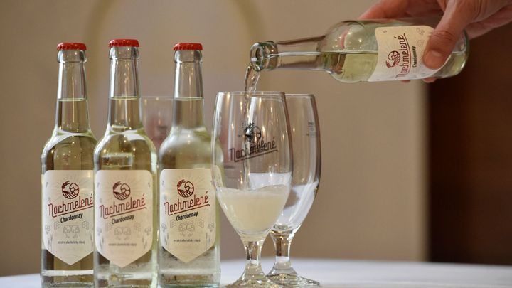 České vinařství dva roky vyvíjelo nový nápoj. Nachmelené je mix vína a chmele