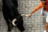 Běh před býky v Pamploně je dobrovolný, běžet může kdokoliv, vždycky však je jasně dáno, vše je na vlastní nebezpečí