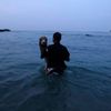 Alpaka na surfu