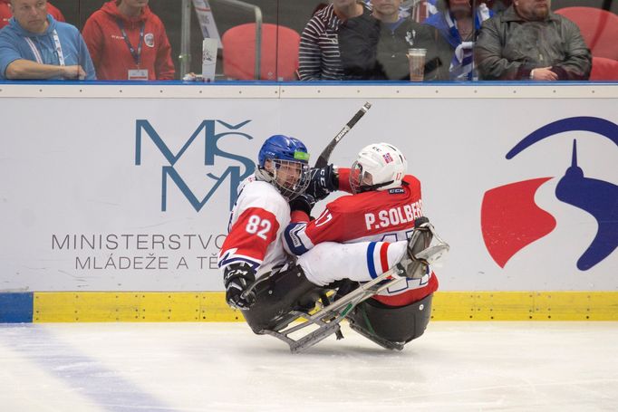 Česko - Norsko, čtvrtfinále MS v parahokeji 2019 (Remi Solberg a Zdeněk Hábl)