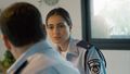 Fauda IV