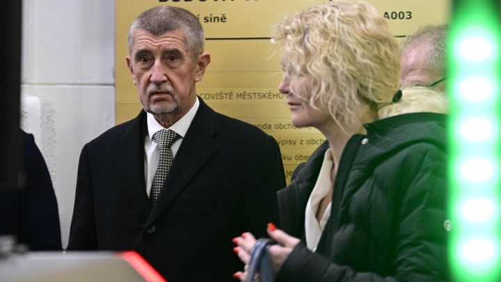 Čapí hnízdo jsem vždy zamýšlel jako rodinný podnik, řekl Babiš u soudu