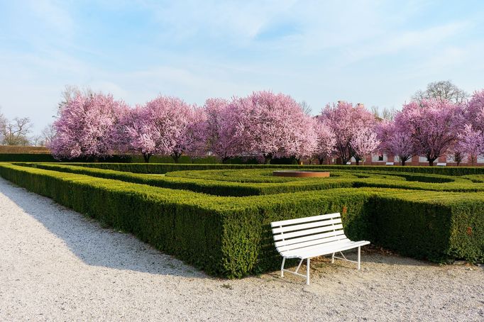 Jaro v pražské Tróji. Sakury v zámeckém parku a botanická zahrada