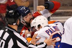 Tři Češi v NHL skórovali, Gudas se po čistém hitu nestihl pořádně poprat