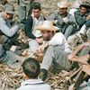 Kubánská revoluce v barvě, Fidel Castro, Kuba, revoluce, historie, Zahraničí