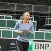 Maria Šarapovová před finále Fed Cupu 2015