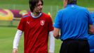 Tomáš Rosický a lékař týmu Krejčí. Trénink Čechů před čtvrtfinále