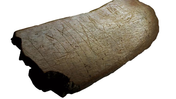 Starší než hlaholice. Slované ještě před ní znali starogermánské runy, dokázali věci