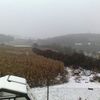 Sníh na Benešovsku