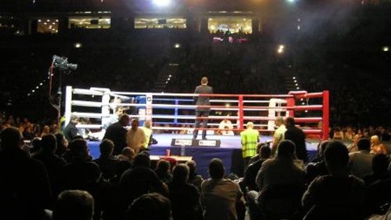 Král králů i krásné ženy. Zápasy K-1 už potřetí v ČR