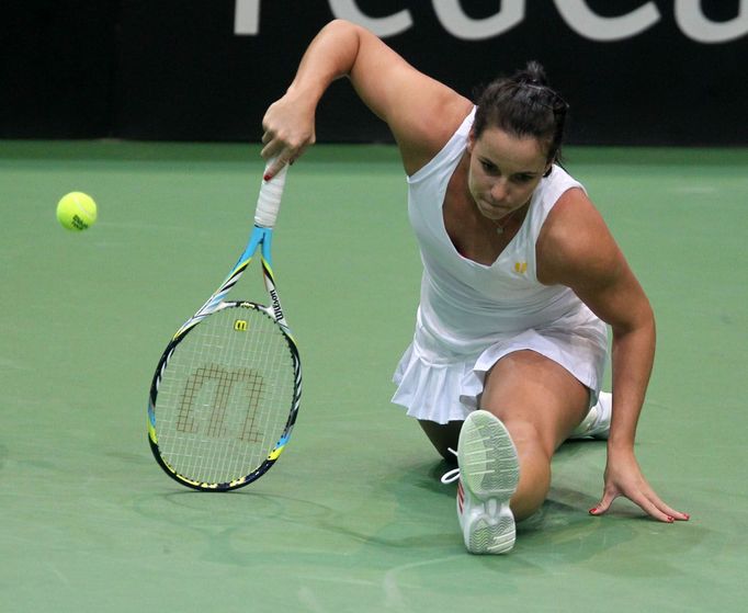 Fed Cup, Česko - Austrálie: Jarmila Gajdošová