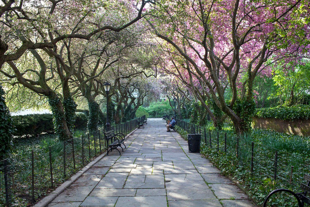 Central Park, New York, výročí, historie, USA, Zahraničí, park