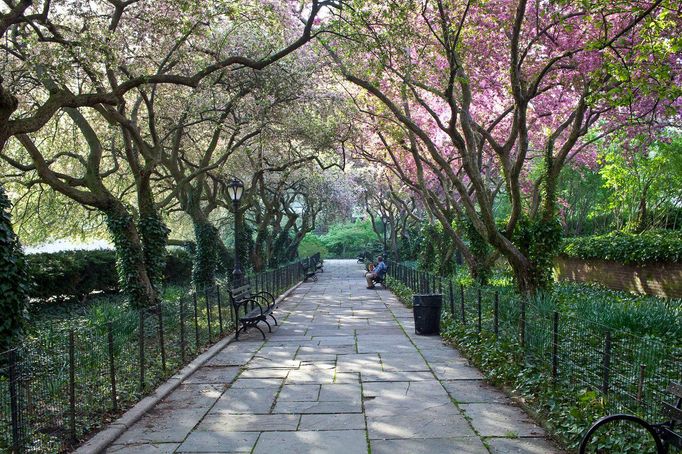 Záběr ze zahrady Conservatory Garden v newyorském Central Parku.