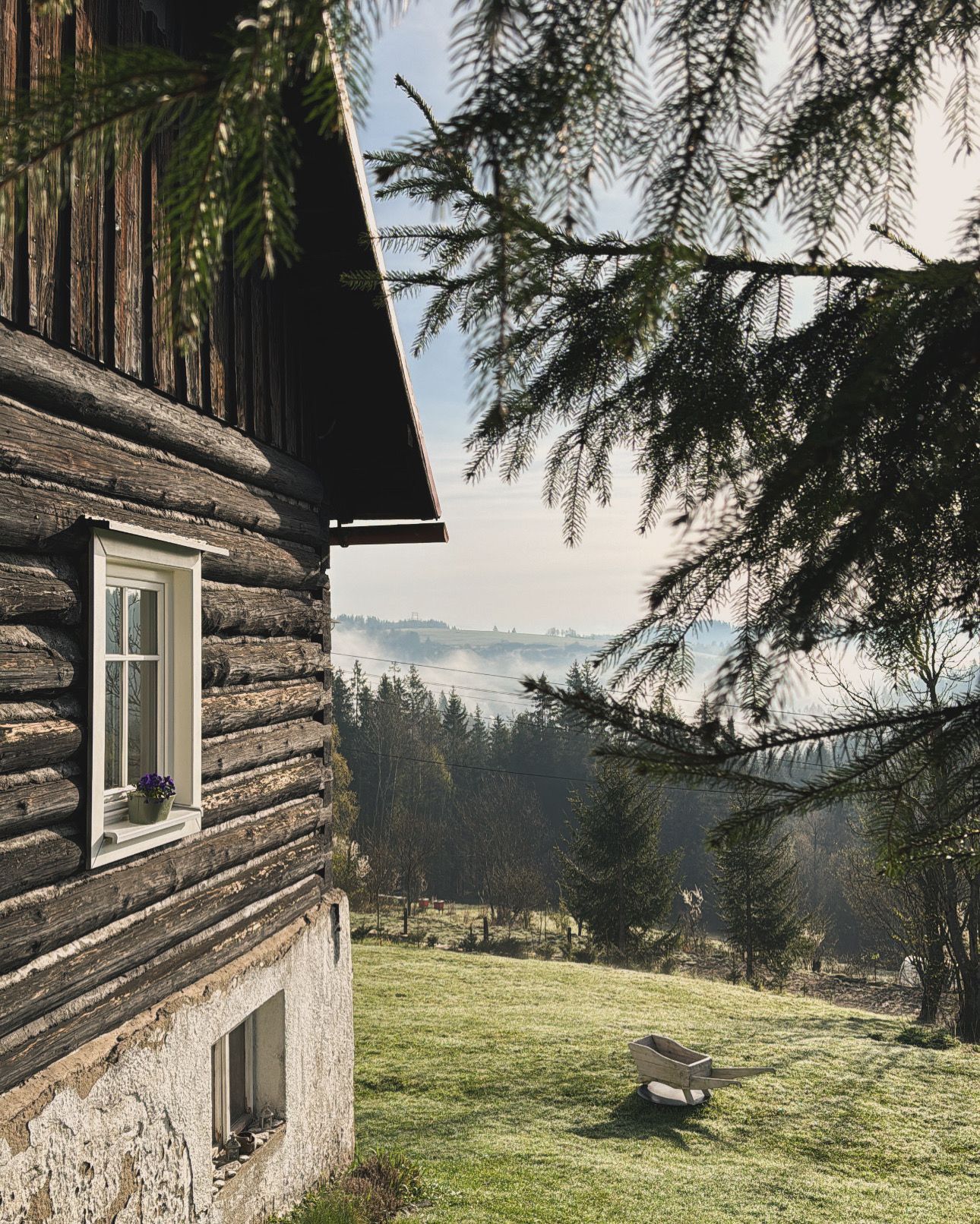 chalupa, les, bydlení, příběh, interiér, exteriér, příroda, chata