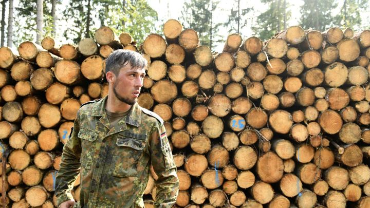 Německo se potýká s přívalem kůrovce. Do boje s broukem vyslalo armádu